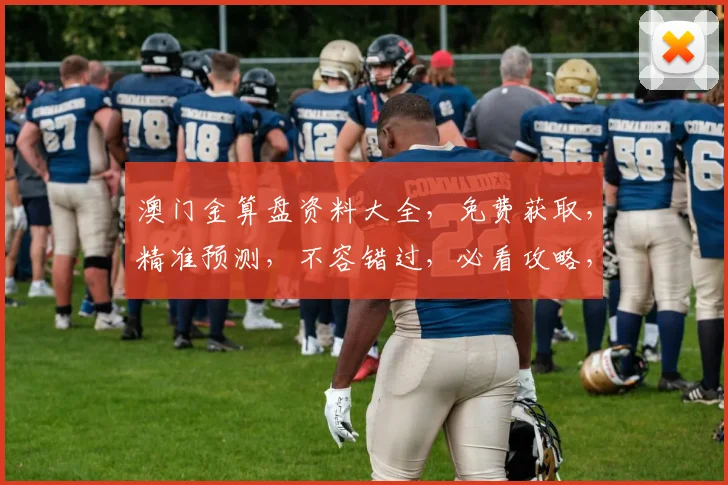 澳门金算盘资料大全，免费获取，精准预测，不容错过，必看攻略，两码中一