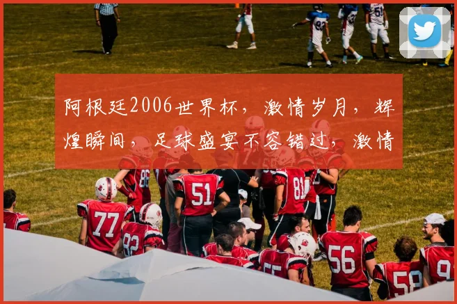 阿根廷2006世界杯，激情岁月，辉煌瞬间，足球盛宴不容错过，激情再现
