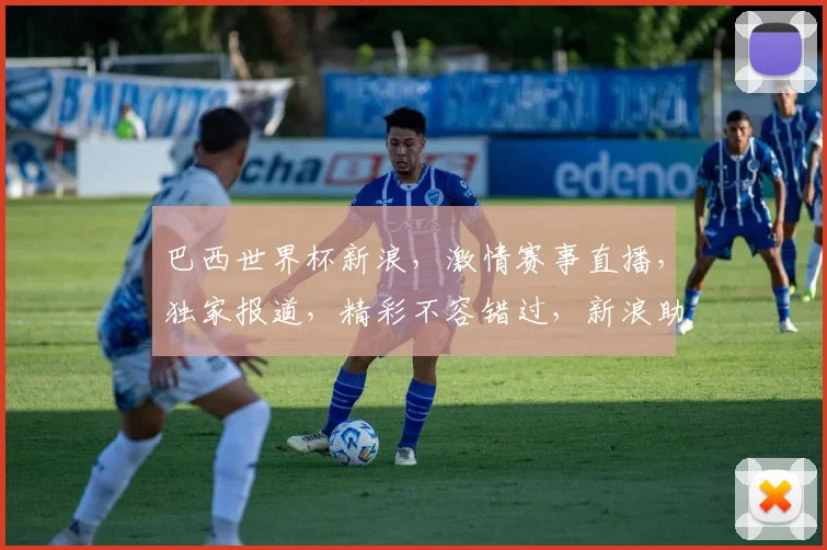 巴西世界杯新浪，激情赛事直播，独家报道，精彩不容错过，新浪助你一网打尽